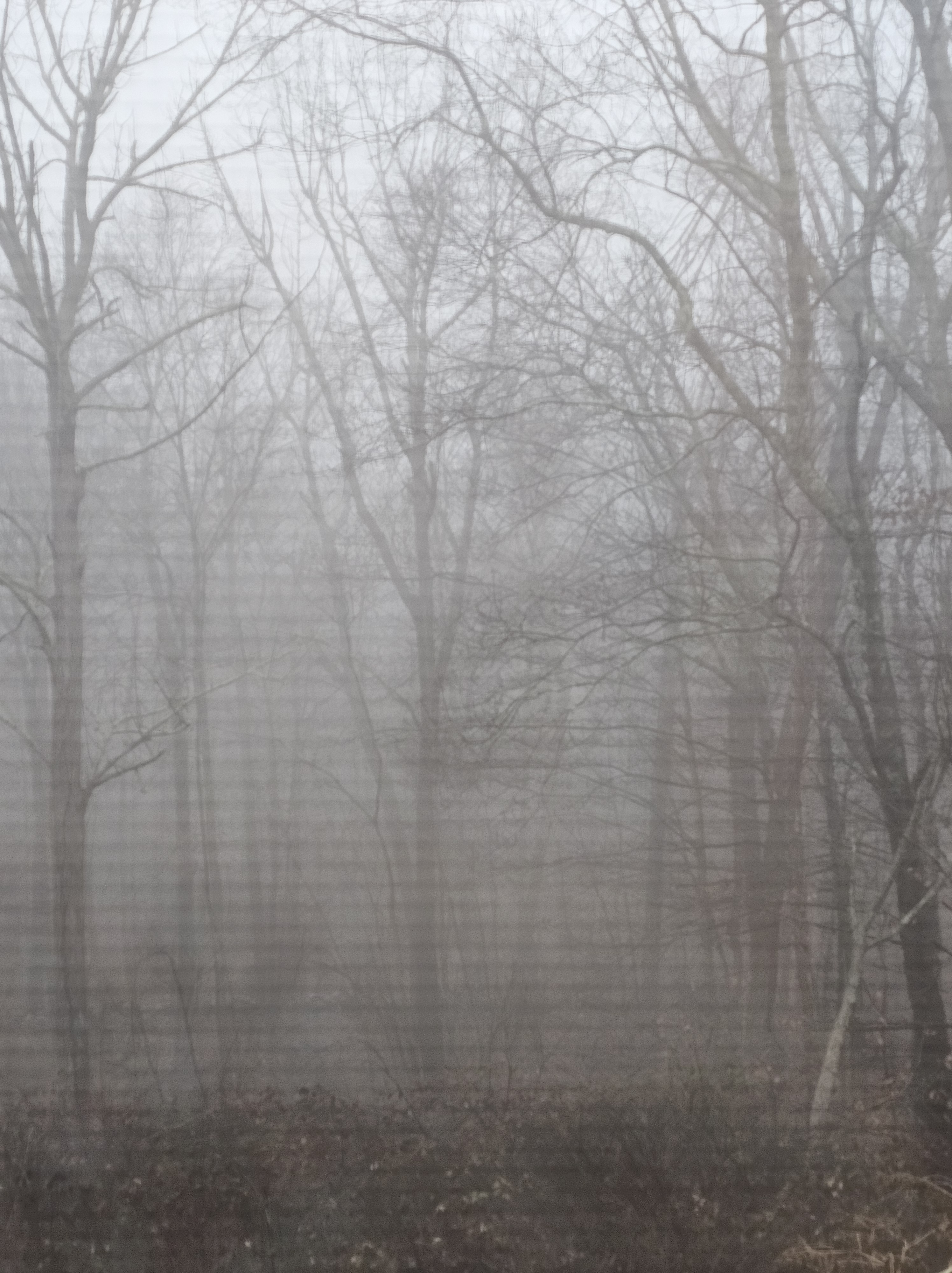 Entertainment Autopsy